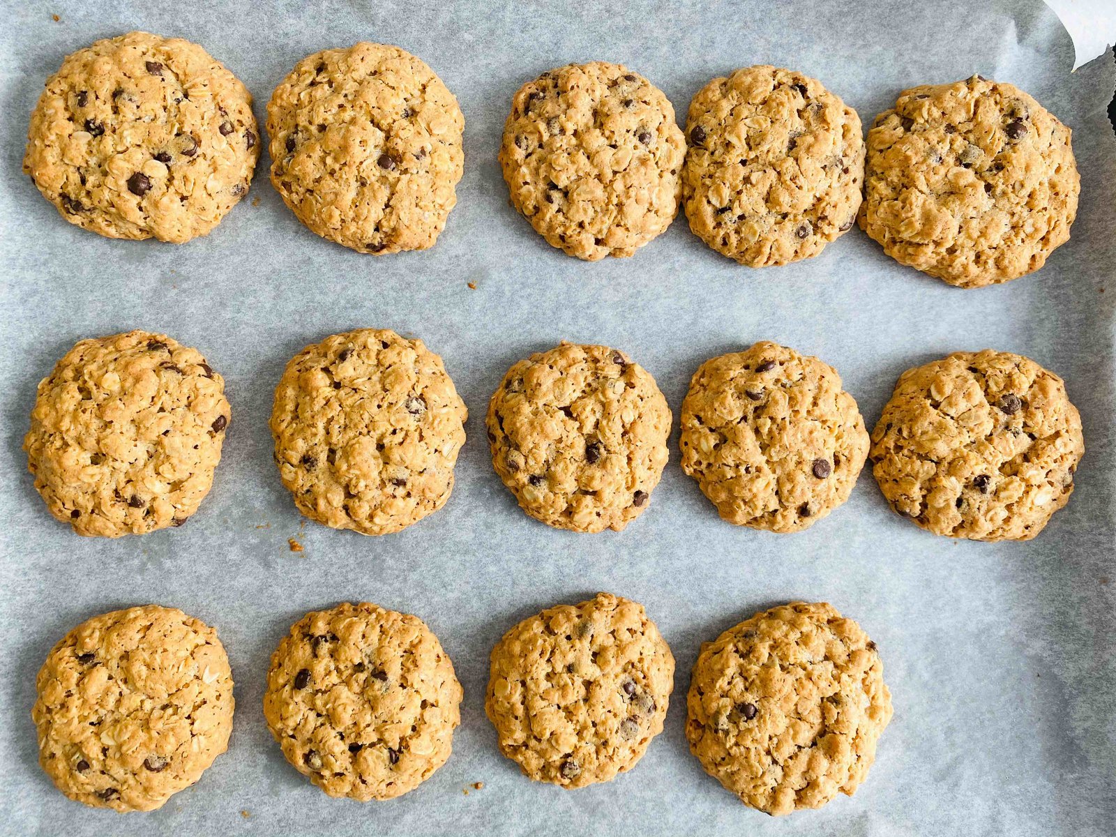 Oatmeal chocolate chip cookies